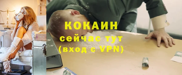 ешки Белокуриха