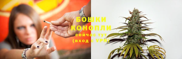 spice Рославль