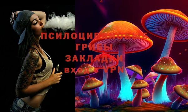 сатива Россошь