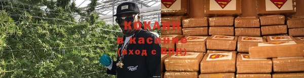 ешки Белокуриха